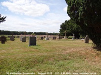 Savernake - photo: 00044