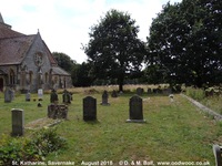 Savernake - photo: 00046