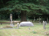 Savernake - photo: 00049