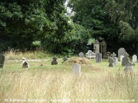 Savernake - photo: 00050