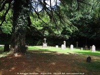 Savernake - photo: 00051