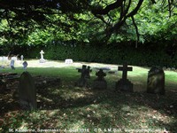 Savernake - photo: 00052