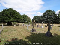 Savernake - photo: 00053