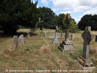 Savernake - photo: 00059