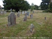 Savernake - photo: 00068
