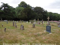 Savernake - photo: 00069