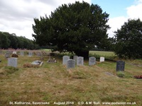 Savernake - photo: 00070