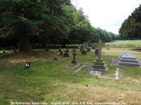Savernake - photo: 00073