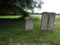 Savernake - photo: 00078
