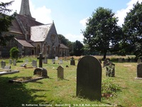 Savernake - photo: 00080