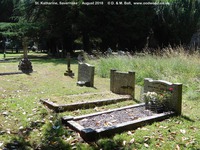 Savernake - photo: 00081