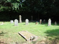 Savernake - photo: 00084