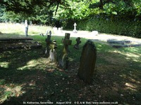 Savernake - photo: 00085