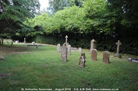 Savernake - photo: 00087