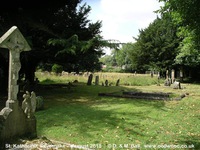 Savernake - photo: 00088