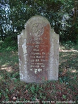 Savernake - photo: 00095
