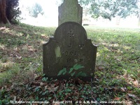 Savernake - photo: 00101