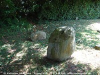 Savernake - photo: 00104