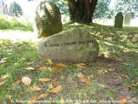 Savernake - photo: 00109