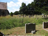 Savernake - photo: 00125