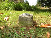 Savernake - photo: 00130