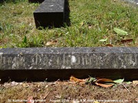 Savernake - photo: 00152