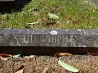 Savernake - photo: 00153