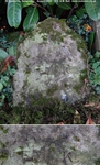 Savernake - photo: 00157
