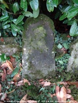 Savernake - photo: 00158