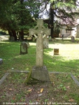 Savernake - photo: 00171