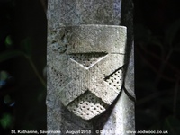 Savernake - photo: 00184