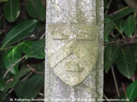 Savernake - photo: 00185