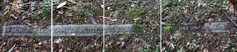 Savernake - photo: 00189