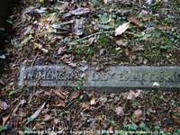 Savernake - photo: 00195