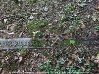 Savernake - photo: 00197