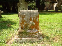 Savernake - photo: 00203