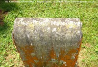 Savernake - photo: 00204