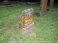 Savernake - photo: 00205