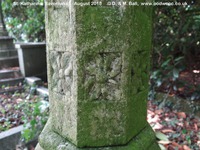 Savernake - photo: 00209