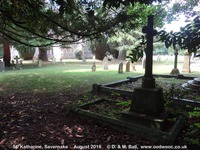 Savernake - photo: 00211