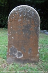 Savernake - photo: 00212