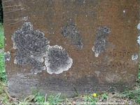 Savernake - photo: 00218
