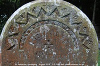 Savernake - photo: 00222