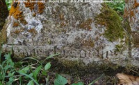 Savernake - photo: 00230