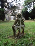 Savernake - photo: 00233