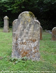 Savernake - photo: 00234
