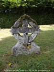 Savernake - photo: 00241