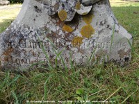Savernake - photo: 00243