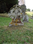 Savernake - photo: 00245
