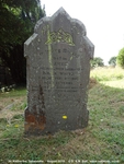 Savernake - photo: 00247